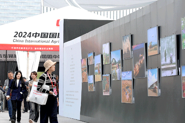 大宝娱乐-LG游戏|PT游戏|CQ9游戏